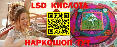 гашик Дубна