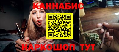 гашик Дубна
