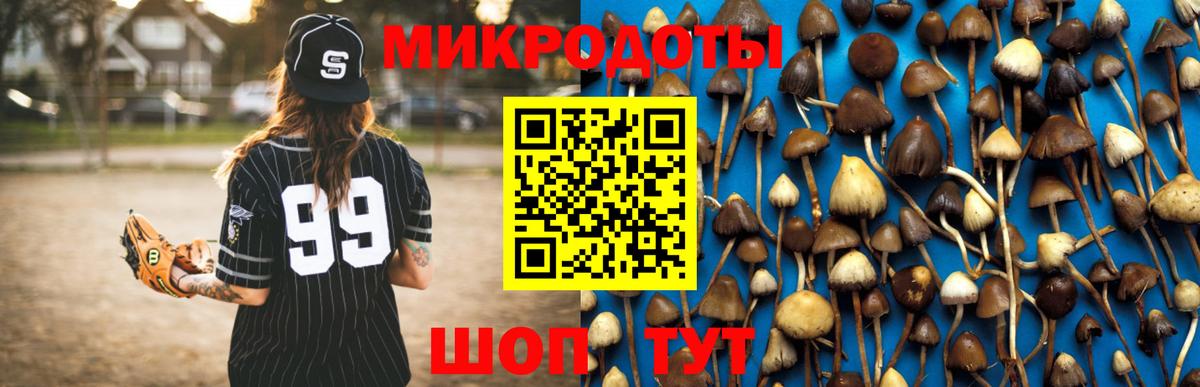 купить  сайты  Псилоцибиновые грибы Psilocybe  Вход с VPN  Новоуральск 